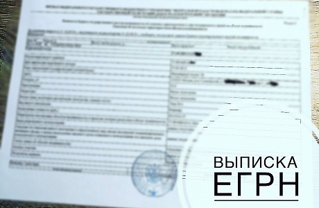 В России вводятся штрафы за продажу данных ЕГРН В России вводятся штрафы за продажу данных ЕГРН